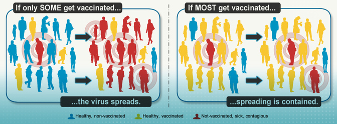 Two diagrams. If only SOME get vaccinated... the virus spreads. If MOST get vaccinated... spreading is contained.