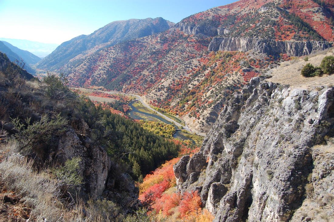 Logan Canyon with beautiful autumn colors