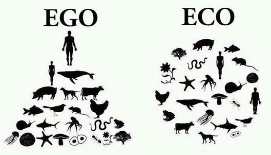 EGO: Man atop woman and pyramid of other animals. ECO: Man and woman both inside circle of other animals.