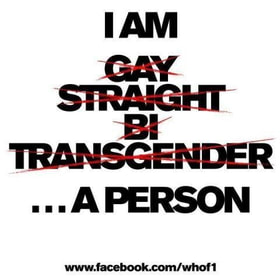 I AM [crossed out] GAY [crossed out] STRAIGHT [crossed out] BI [crossed out] TRANSGENDER [not crossed out] ...A PERSON