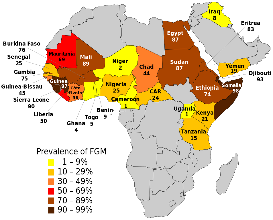 Map of Africa with prevalence of FGM (in percentage). Burkina Faso 76, Senegal 26, Gambia 76, Guinea-Bissau 50, Sierra Leone 90, Liberia 66, Mauritania 69, Mali 89, Guinea 97, Cote d'Ivoire 38, Ghana 4, Togo 4, Benin 7, Niger 2, Nigeria 25, Chad 44, Cameroon 1, CAR (Central African Republic) 24, Egypt 91, Sudan 88, Ethiopia 74, Somalia 98, Uganda 1, Kenya 27, Tanzania 15, Eritrea 83, Djibouti 93, Iraq 8, Yemen 19